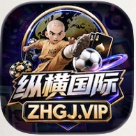纵横国际
